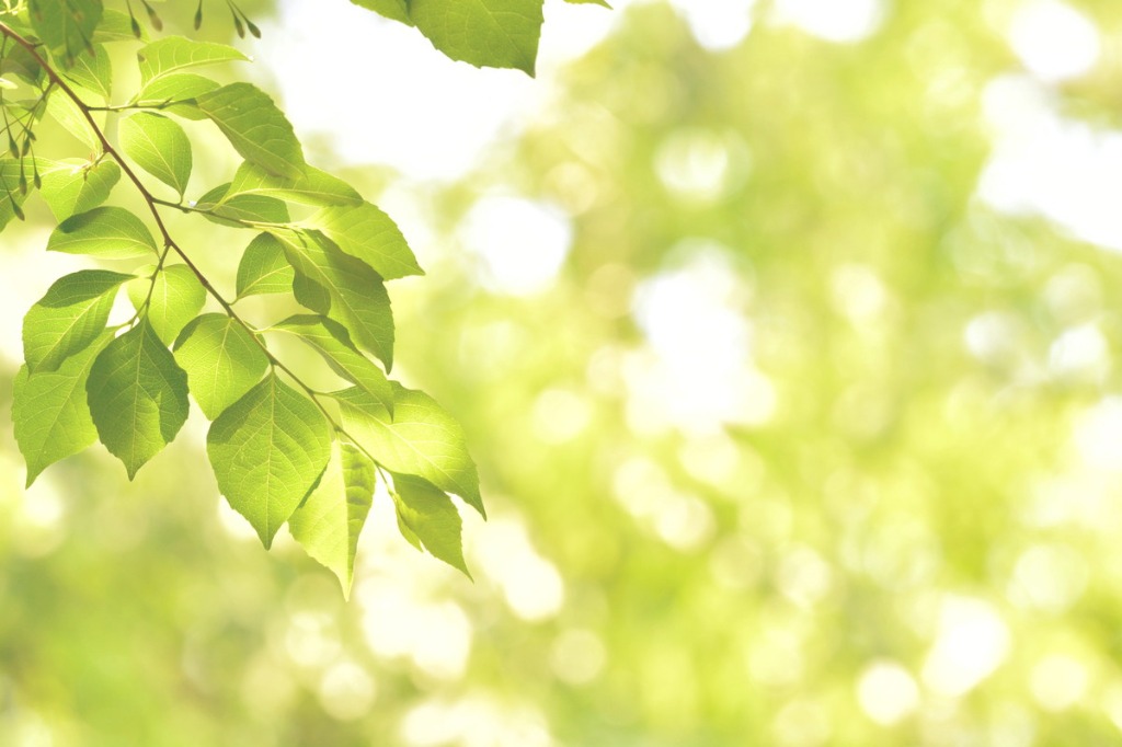 健康にシェイプアップ！